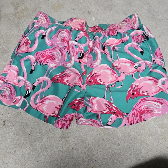 Chubbies Flamingo Print Swim Shorts - Pink & Teal - Picture 2 of 3